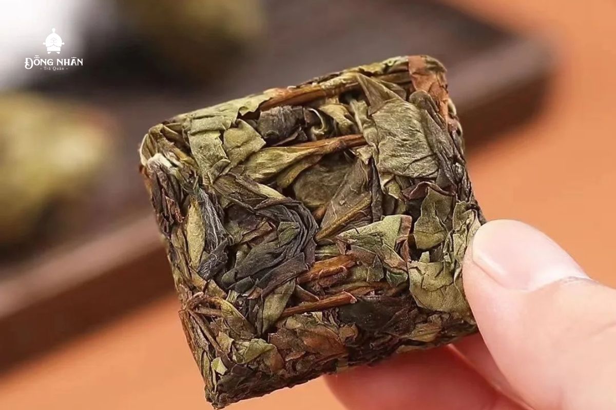 TRÀ Ô LONG ÉP DUY NHẤT – CHƯƠNG BÌNH THUỶ TIÊN ĐƯỢC TẠO RA NHƯ THẾ NÀO?